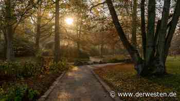 Grugapark Essen: Auf DIESE Ankündigung haben Besucher gewartet - DER WESTEN