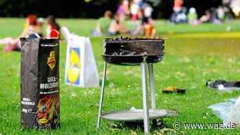 Stadt Essen will Grillen in Parkanlagen beschränken - WAZ News