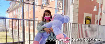 Kiloweise Nudeln und Kuscheltiere – Schüler der Privatschule Dr. Kalscheuer sammeln Spenden - Traunsteiner Tagblatt