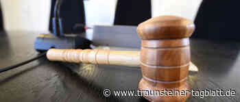 Filmaufnahmen waren rechtens: Mutter und Sohn durften sich bei Demo gegen Polizei wehren - Traunsteiner Tagblatt