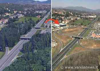 Cosa rimane dei "boschetti" lungo l'autostrada tra Varese e Gallarate - varesenews.it