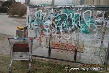 Aggressioni sui bus di Gallarate e vandalismi. Ci sono le prime denunce - malpensa24.it