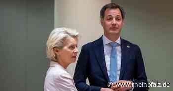 EU-Länder wollen Gas gemeinsam einkaufen - keine Preisdeckel - Wirtschaft - Rheinpfalz.de