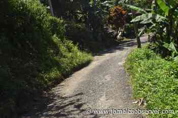 Relief in Durham Gap after suspect's capture - Jamaica Observer