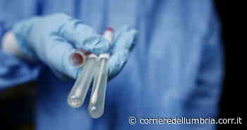 Foligno, risulta positivo al tampone e si scaglia contro la farmacista: arriva la polizia - Corriere dell'Umbria