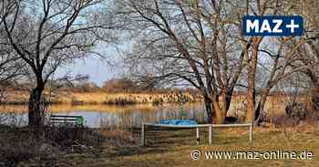 Rathenow: Ortsbeirat Grütz debattiert mit Bungalowpächtern über Badestellen - Märkische Allgemeine Zeitung