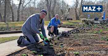 Rathenow: Optikpark bereitet sich auf Saisonstart vor - Märkische Allgemeine Zeitung