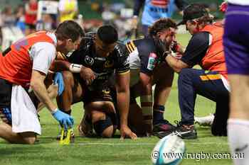 Brumbies coach McKellar calls for orange card | Latest Rugby News - Rugby.com.au