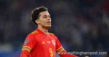 Brennan Johnson and Nottingham Forest to reap the rewards of Wales cameo - Nottinghamshire Live