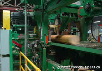 Terminal Forest Products orders new USNR log positioning infeed system - Wood Business - Canadian Forest Industries