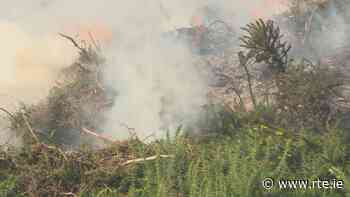 Forest fire warning in place until midday Monday - RTE.ie