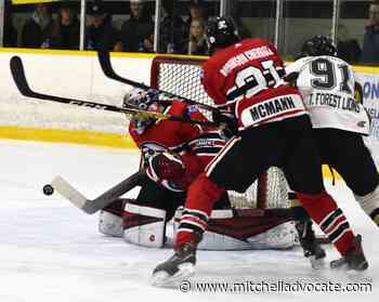 Hawks take on Mount Forest in semis - Mitchell Advocate