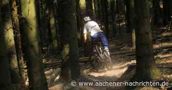 Mountainbiken im Stadtwald: Umweltgruppen fordern entschiedenes Vorgehen gegen illegale Trails