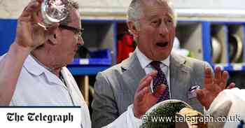 Prince of Wales and Duchess of Cornwall's visit to Ireland gets off to a smashing start in Waterford - The Telegraph