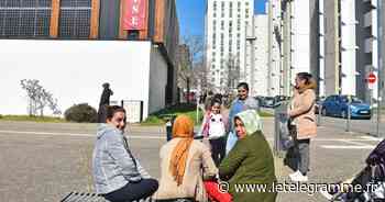 À Lorient, Kervénanec la cosmopolite : grâce à sa mue, le quartier n'est plus une Zup - Le Télégramme