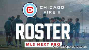 Chicago Fire FC: MLS NEXT Pro Roster Finalized - On Tap Sports Net