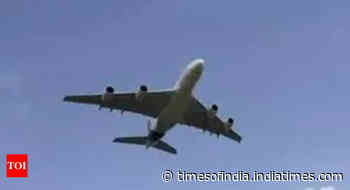 India’s civil aviation sector eyes new heights - Times of India