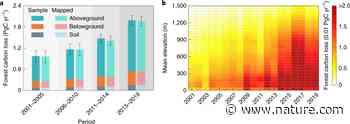Doubling of annual forest carbon loss over the tropics during the early twenty-first century - Nature.com