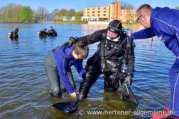 Besentag in Marl – am Samstag wird in der ganzen Stadt gefegt - Hertener Allgemeine