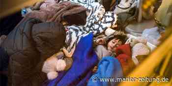 Marl will sich auf die Aufnahme von Geflüchteten vorbereiten - Marler Zeitung