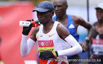 What it takes to run a marathon, recovery and why alcohol is not recommended - The Standard