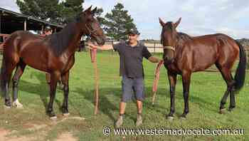 Hurst to have maiden tilt at Bathurst Gold Crown and Tiara - Western Advocate