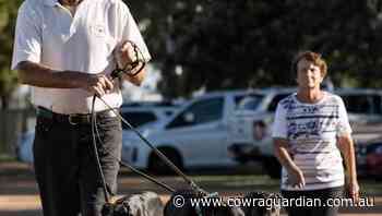 Cowra winners at Temora, Bathurst and Dubbo - Cowra Guardian