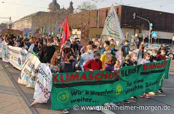 Klimastreik in Mannheim: 1700 Menschen gehen auf die Straße - Mannheim - Nachrichten und Informationen - Mannheimer Morgen