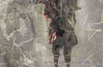 Port 25 zeigt Kunstankäufe der Stadt Mannheim Heimspiel für die Kunst von hier - Kultur - Schwetzinger Zeitung