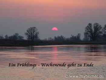 Ende eines Frühlings - Wochenende 19/20. März 2022 - Lutherstadt Wittenberg - myheimat.de