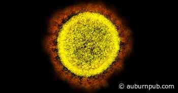 Cayuga County's active COVID-19 cases up by 100 in four days - The Citizen