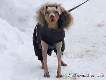 Weather: Wet Saturday, possible snow Sunday