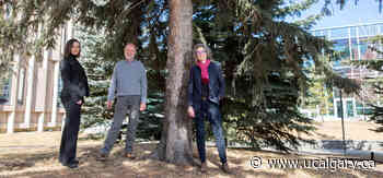 UCalgary launches new sustainable systems engineering bachelor's degree - University of Calgary