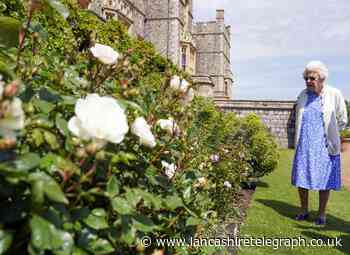 Queen's Platinum Jubilee: flowers to create a royal garden at home
