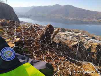 Ultimata a Chiuso la messa in sicurezza della parete rocciosa - Prima Lecco