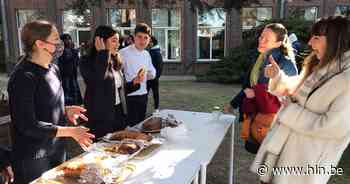 Regina Caeli zamelt al sinds september geld in voor Mercy Ships - Het Laatste Nieuws