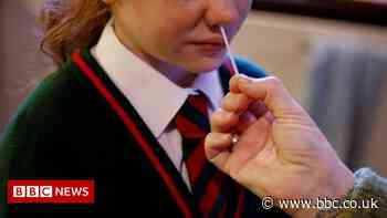 Covid: Calls for free lateral flow tests to continue in region