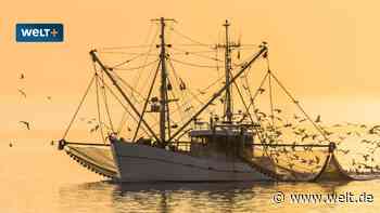 Der Hilferuf der letzten deutschen Krabbenfischer