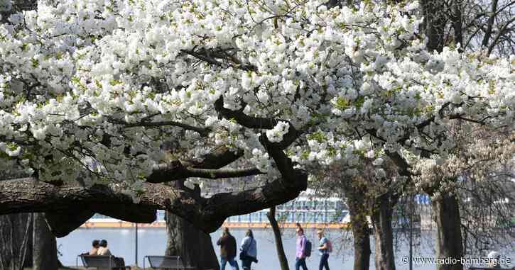 Am Sonntag nochmal Sonne tanken – Hoch «Peter» macht schlapp