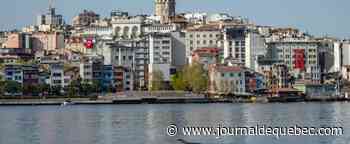 Plus d'une vingtaine de dauphins retrouvés morts sur une plage d'Istanbul