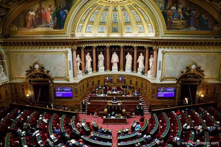 Quatre questions pour tout comprendre à l'affaire McKinsey et l'optimisation fiscale