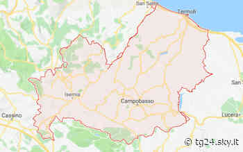 Rapinatore solitario con taglierino in banca a Termoli - Sky Tg24