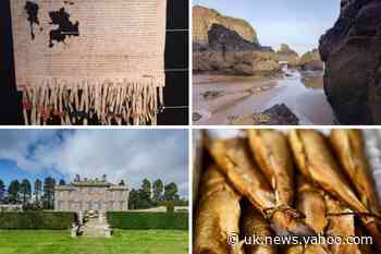 TRAVEL: History, beaches, nature, wildlife, food and drink - Angus has it all - Yahoo News UK