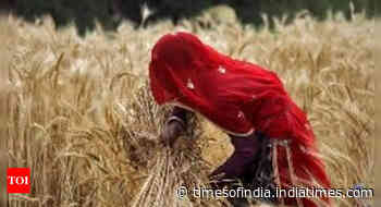 Coronavirus news India live updates: Govt extends free foodgrain scheme by 6 months - Times of India