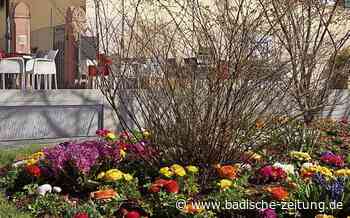 Buurenquartett spielt beim Blütensonntag in Lahr am 27. März - Freizeittipps und Feste (TICKET) - Badische Zeitung