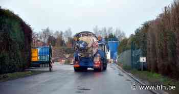 Opnieuw veel overlast vliegen rond afvalverwerkingsbedrijf | Laarne | hln.be - Het Laatste Nieuws