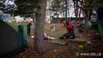 Hamilton planning committee votes to evict encampment residents 'within 12 to 72 hours' - CBC.ca