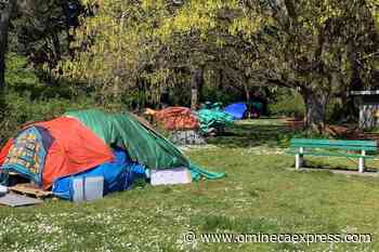 Province appeals court ruling against sheltering in Victoria's signature park – Vanderhoof Omineca Express - Omineca Express