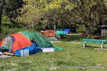 Province appeals court ruling against sheltering in Victoria's signature park – Comox Valley Record - Comox Valley Record