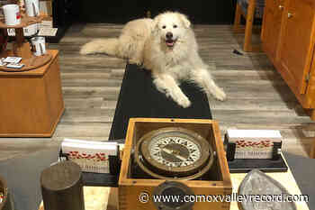 Courtenay’s HMCS Alberni Museum announces new season - Comox Valley Record